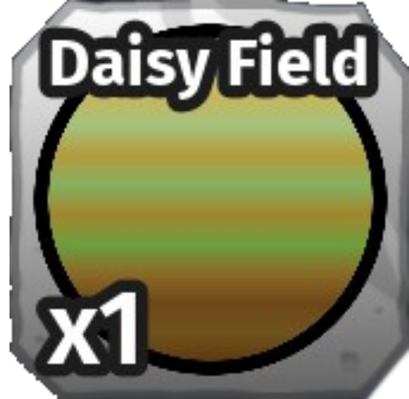 Daisy Field