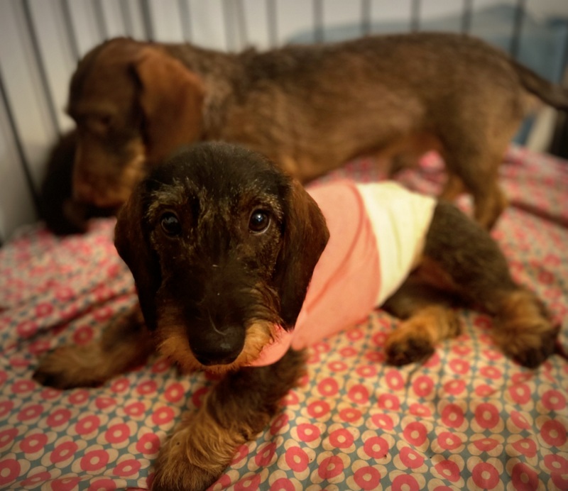 [Image: IMG-3567.jpg]