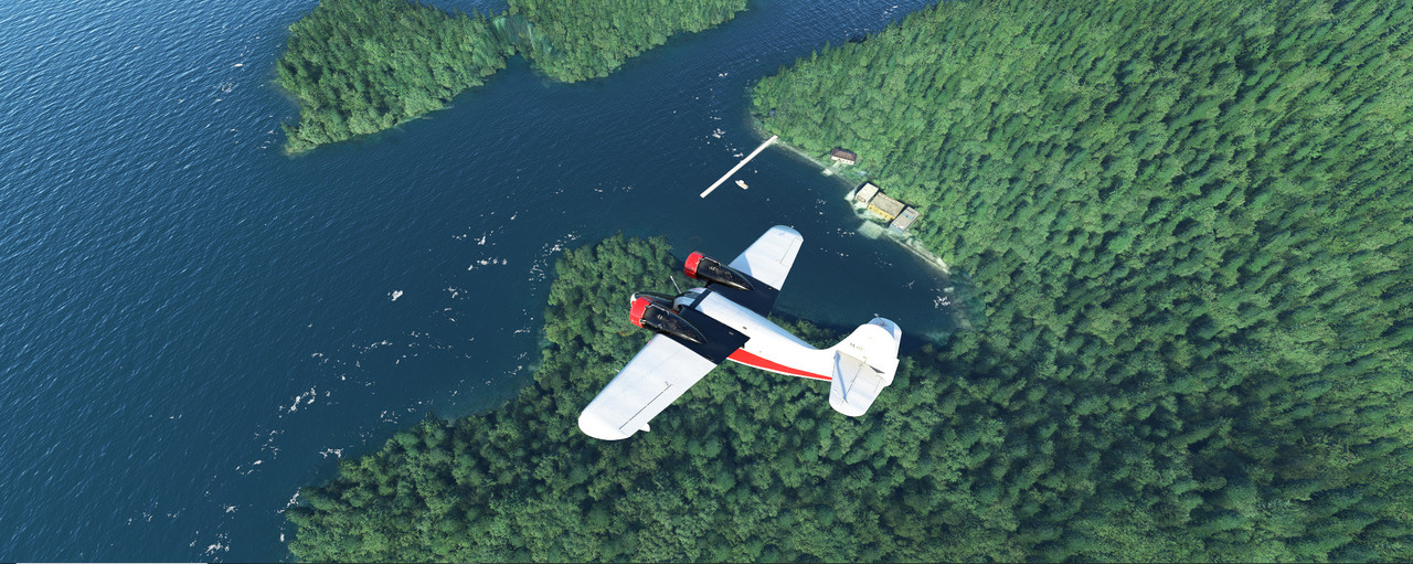 Goose-8.jpg