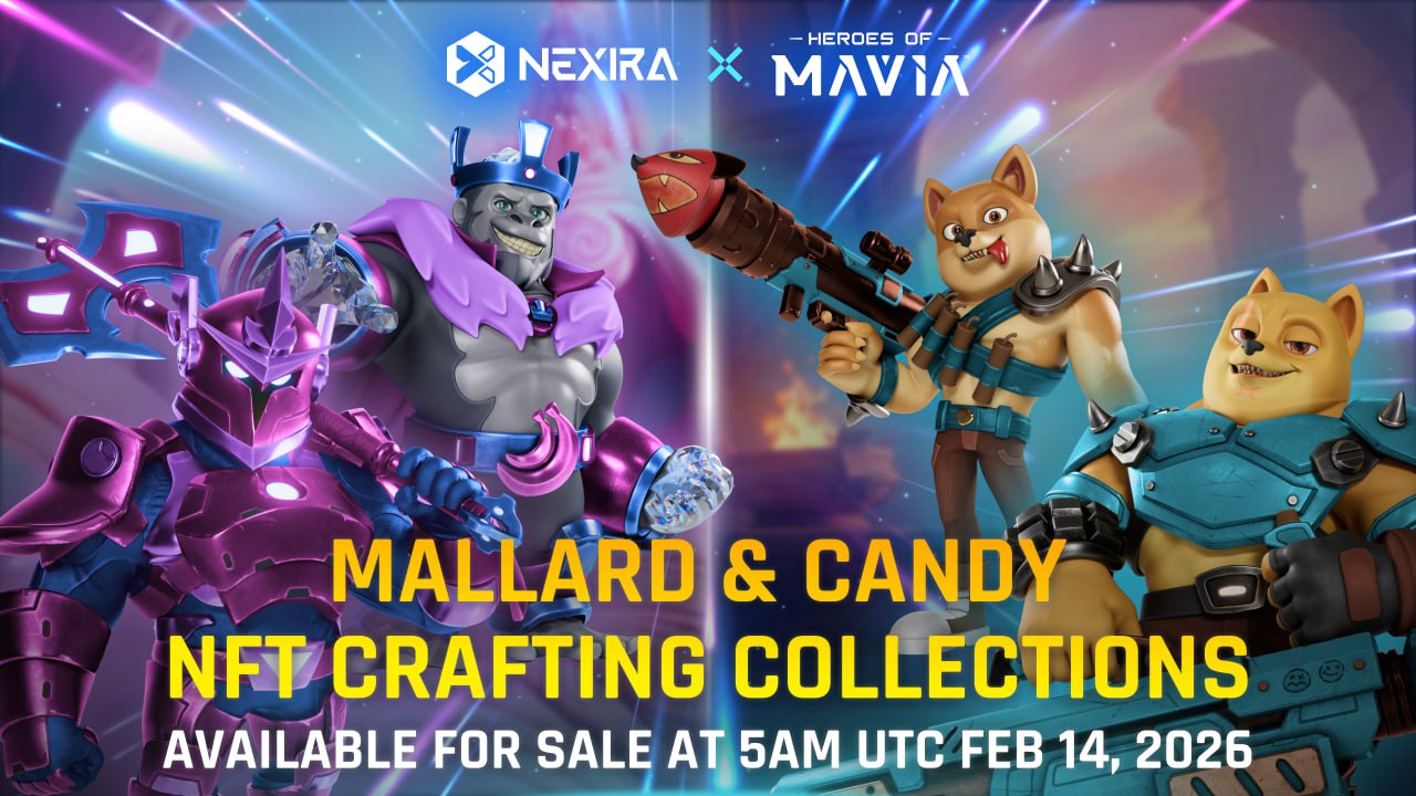 IMG 20260213 165832 678