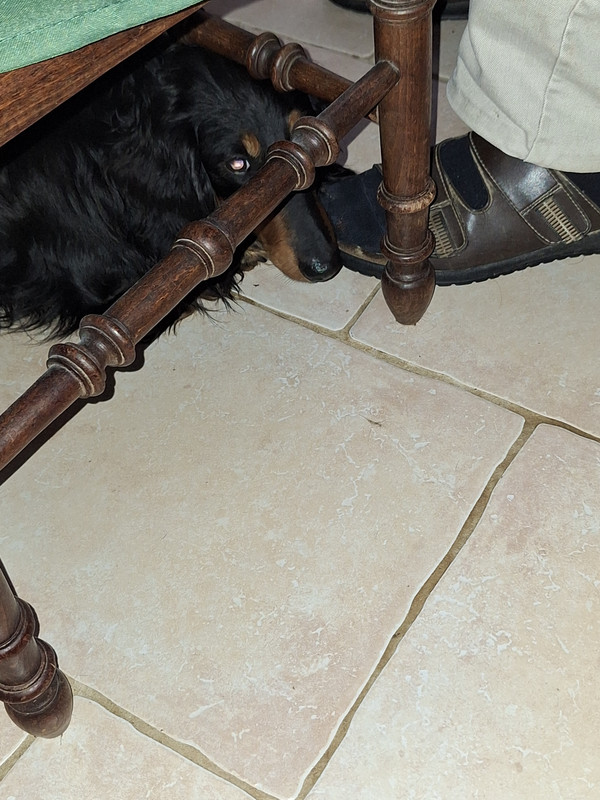 [Image: 20240614-140210.jpg]