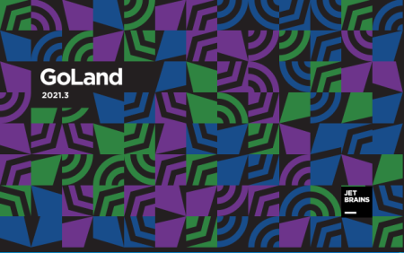 JetBrains GoLand 2021.3.1 (x64) JetBrains GoLand 2021.3.1 (x64)