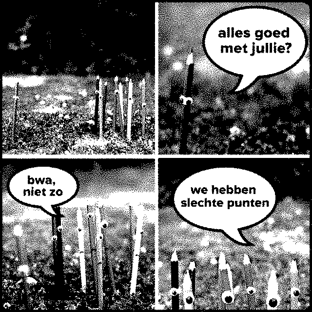 Welkom bij gekkemeid2