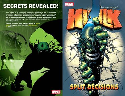 Incredible Hulk v06 - Split Decisions (2004)