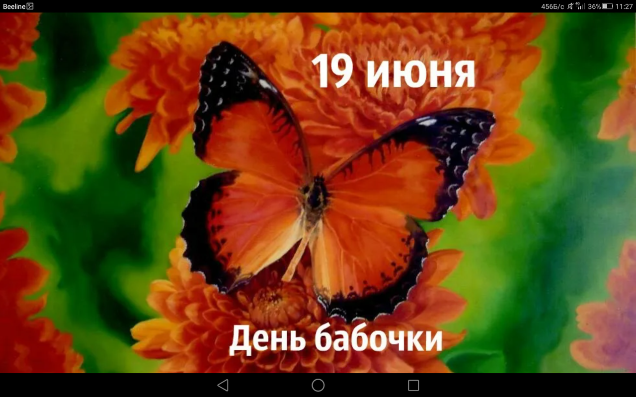 С Днем Бабочек Фото