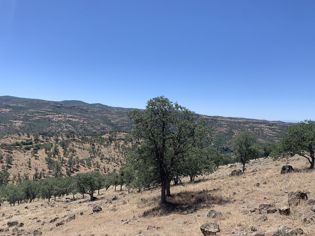 E674730B-6D50-47A5-8195-7F0C3CE5711F