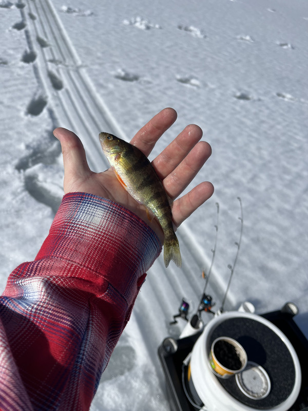 3628ADFC-2E48-4287-A40E-C2C7D1DBA9B4