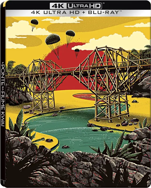 915DBHV-jDL._AC_UF1000,1000_QL80_FMwebp_