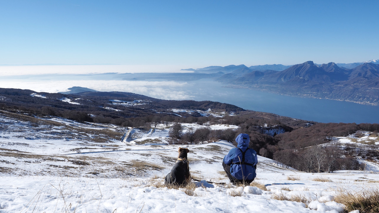 06667803-CA41-478D-A3BE-BAC4ED83501A