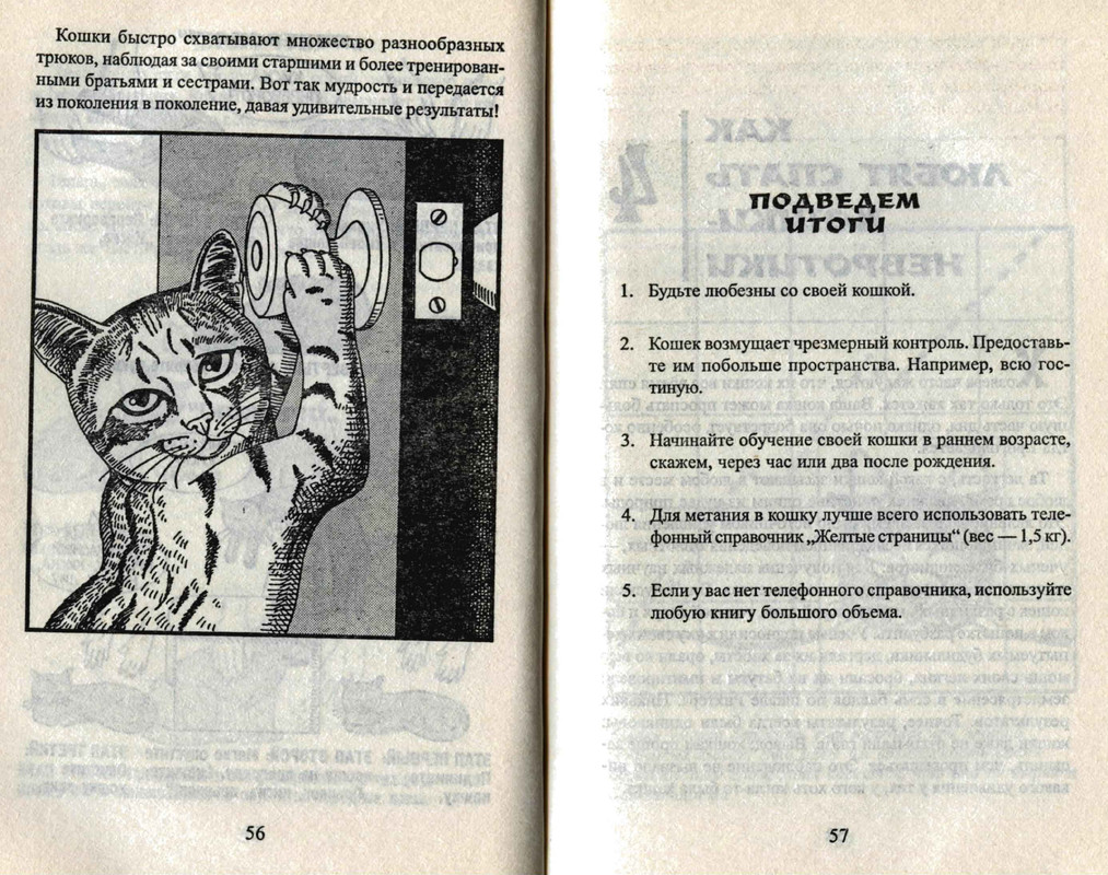Bejker-Stiven-Kak-zhit-s-koshkoj-nevrotikom-page-0030