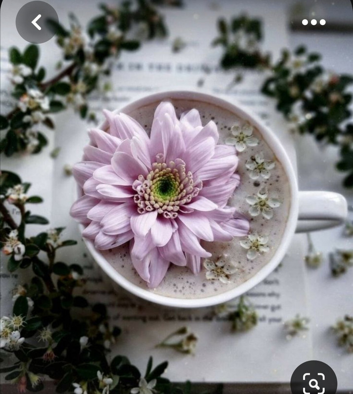 Screenshot_20230806_233232_Pinterest