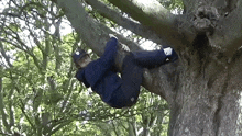 IMG-9965.gif