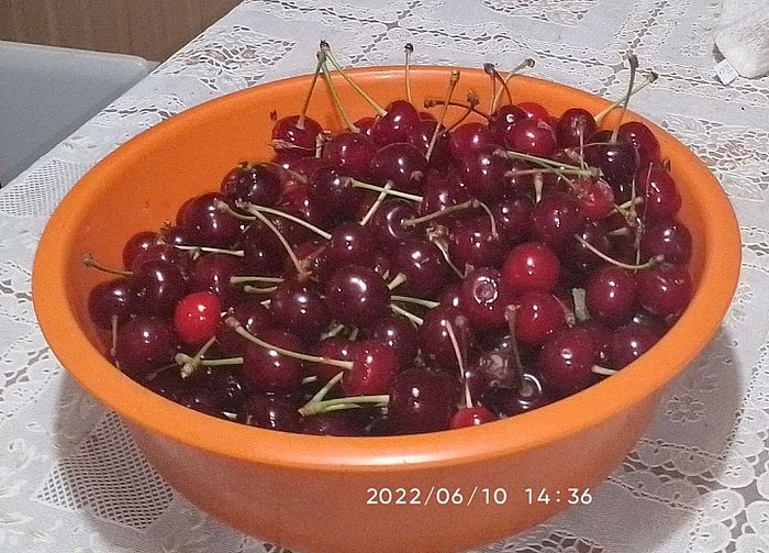 https://i.postimg.cc/K8YmkVHn/meggy-2022-06-10.jpg