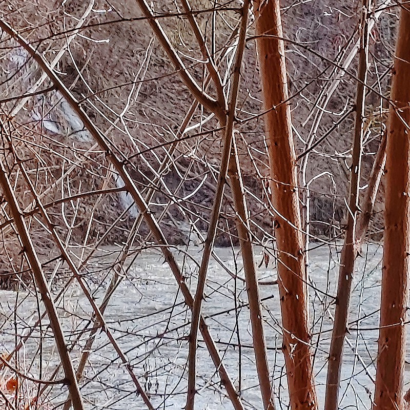 IMG-20260211-122626bbb