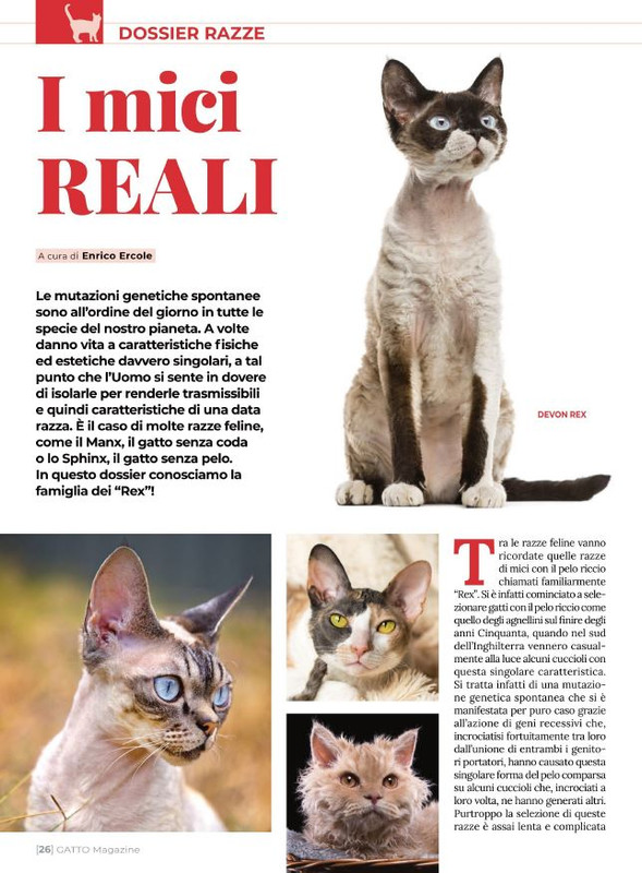 Ga Ma Apr-Mag 2022 (3)