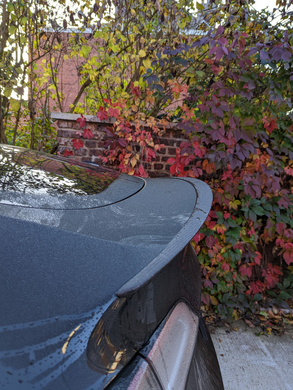 PXL_20221019_073019268