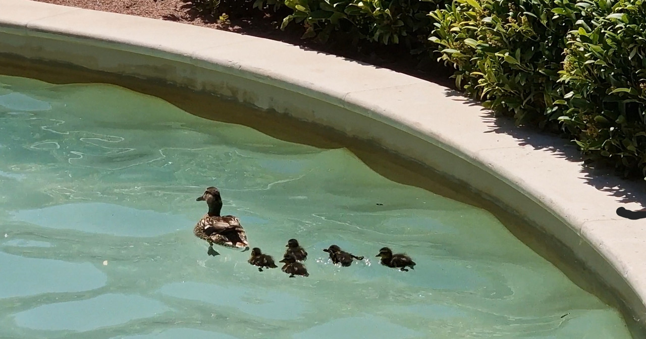 Screenshot_20220715-225448_Gallery