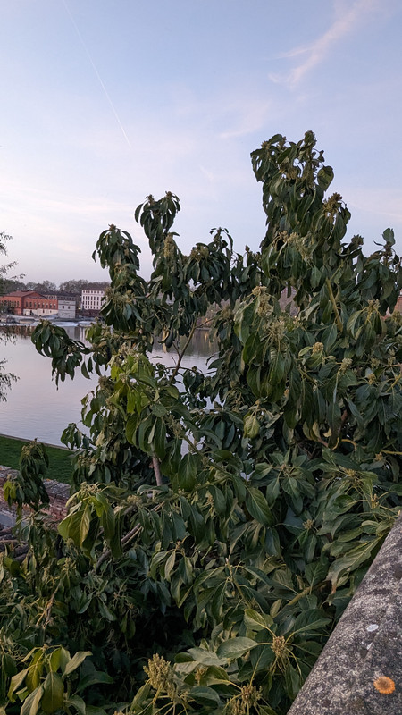 PXL_20240322_181148852