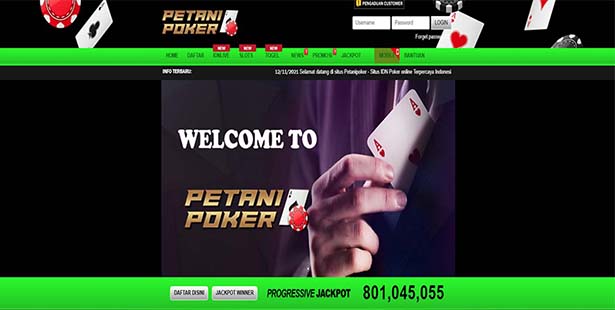 PETANIPOKER - SITUS POKER ONLINE TERBAIK DI INDONESIA