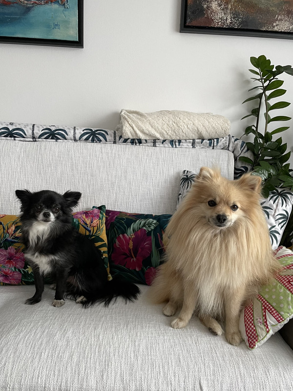 [Image: IMG-8731.jpg]