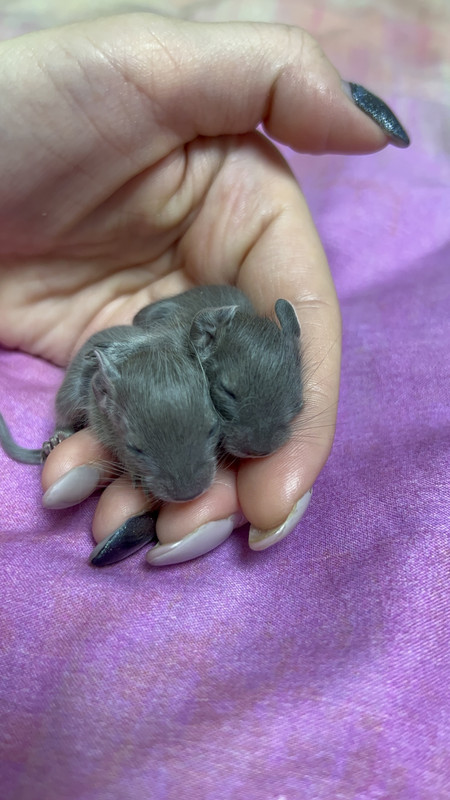 8EACF4EE-267B-43E7-A552-406C95C68F31