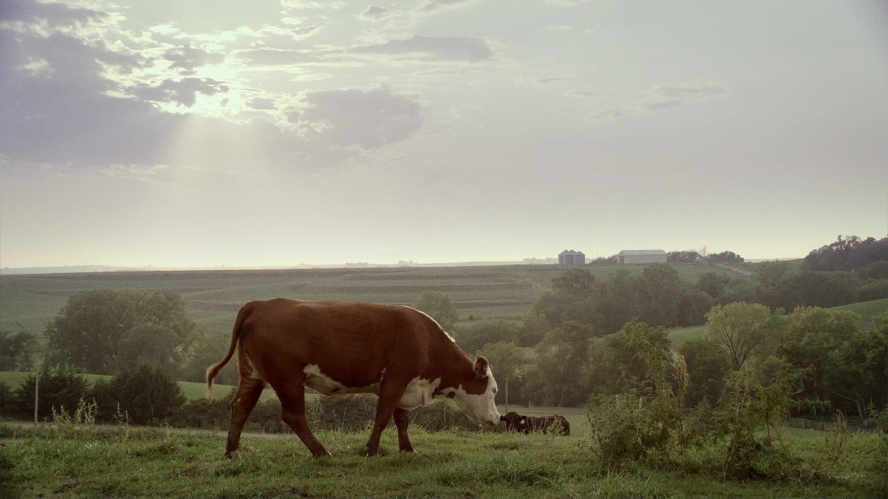 Bless This Mess (2019) S02 (1080p AMZN Webrip x265 10bit EAC3 5.1 - TheSickle)[TAoE]