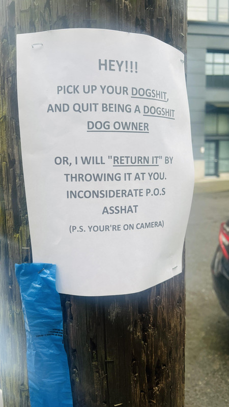 i think someone stepped in dog poop on my block today v0 kyjax6eq68lc1