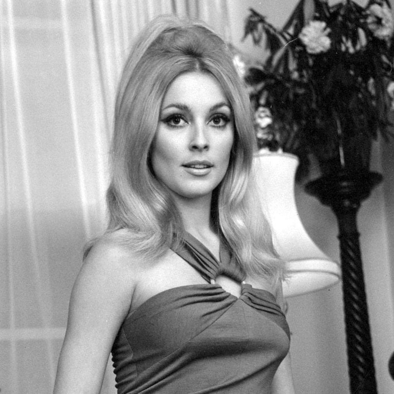sharon_tate_md95