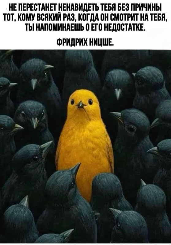 [Изображение: 355990b52b034217cd18760cd9638868.jpg]
