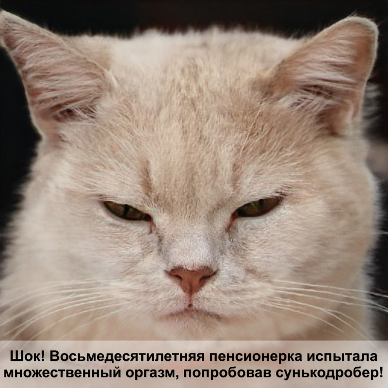 капли для глаз кошкам