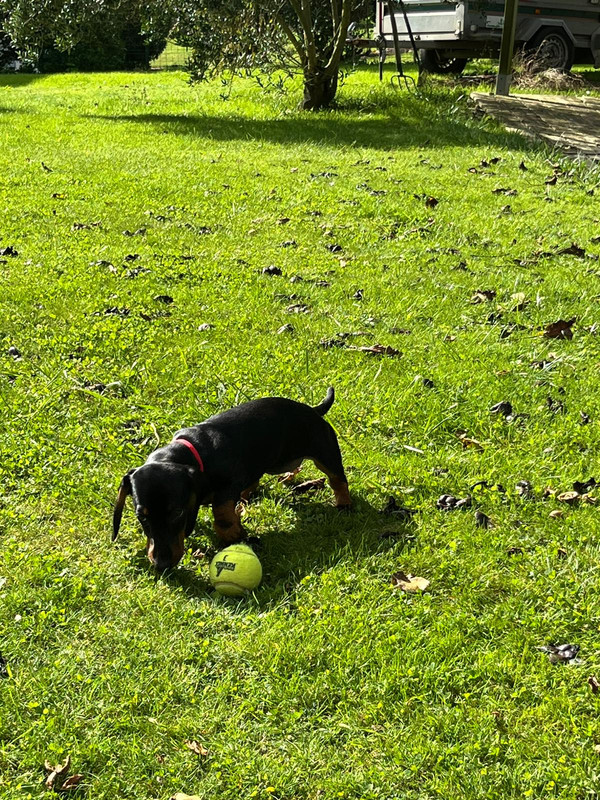 [Image: IMG-20241025-WA0006.jpg]