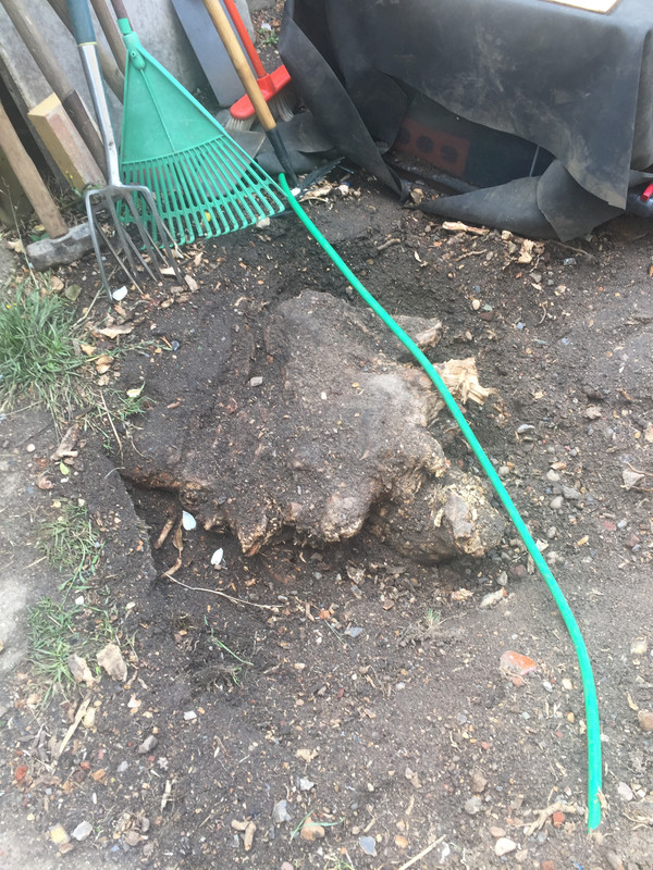 2591D382-D0D9-45BC-A720-FF3557E6C8E3