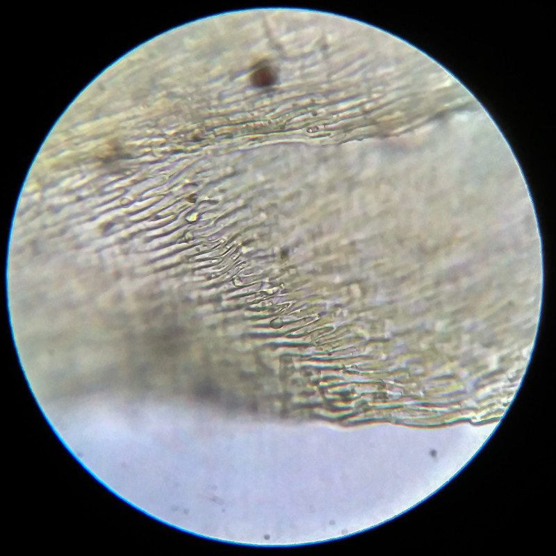 IMG 20250614 203420 HDR