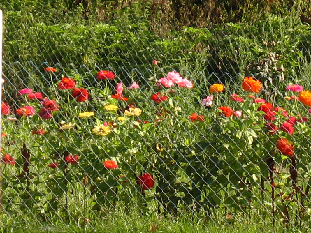 Teknival 2014 Schkorpilovzi (100)