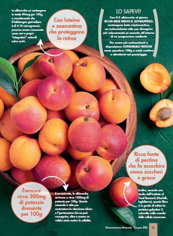 Alim Nat Giu 2022 (6)