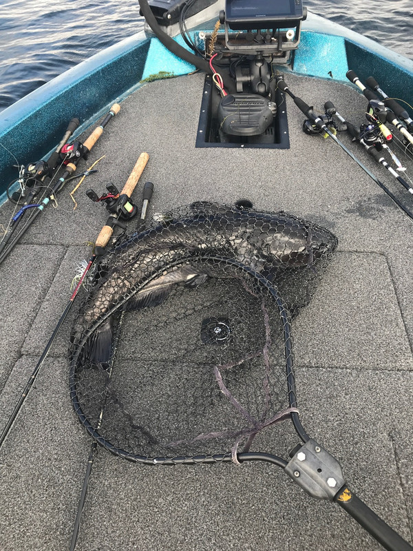 59206221094__79349711-024B-4AAF-8CD7-98688B0AED5F