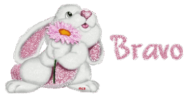 0ef21b62e599071d591e89021a4219a8