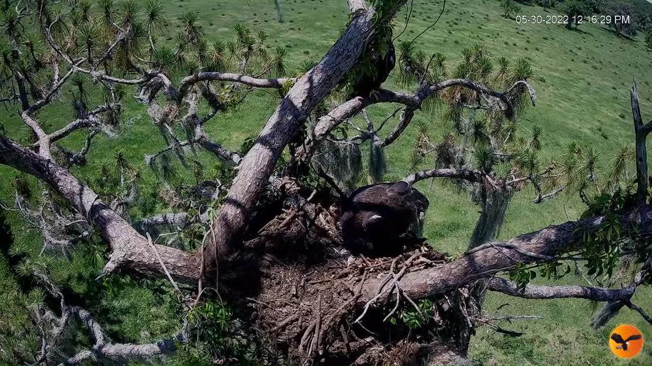 EC 4K Overhead Cam 10-6-51 screenshot