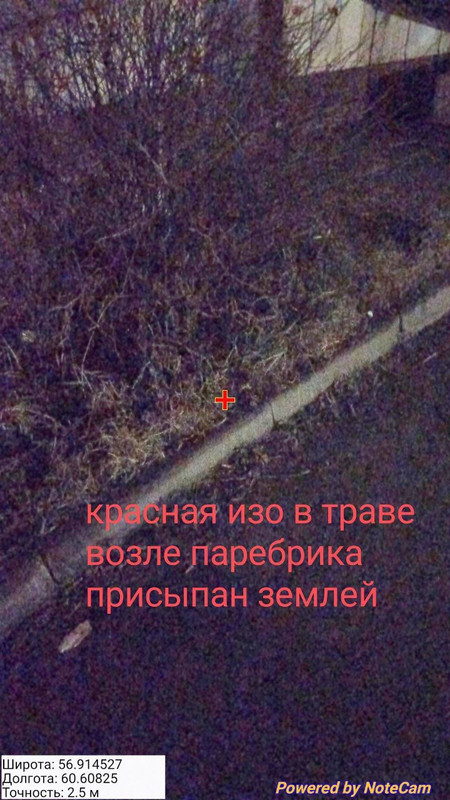 IMG 7475