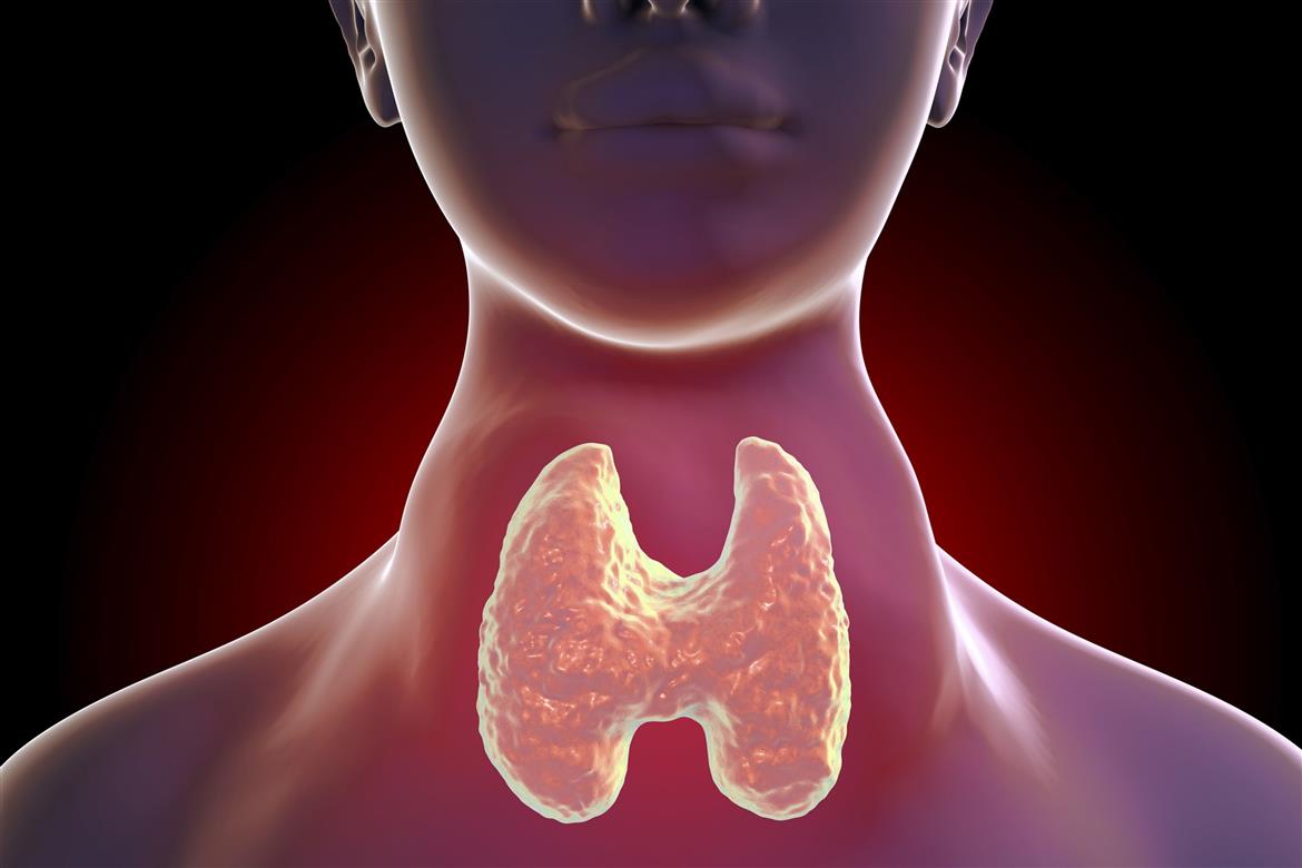 Thyroid1.jpg