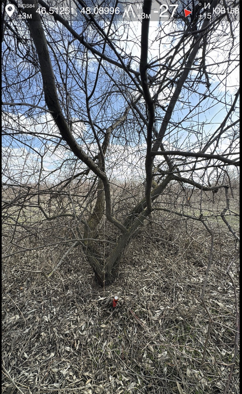 IMG 0966