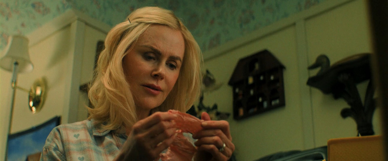 Holland 2025 WebRip [Hindi + Tamil + Telugu + Malayalam + Kannada + English] 480p, 720p, 1080p ESub Screenshot