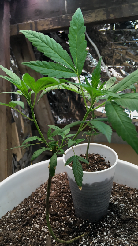 FE59922A-35D2-44C5-BBC3-B975CAD08419