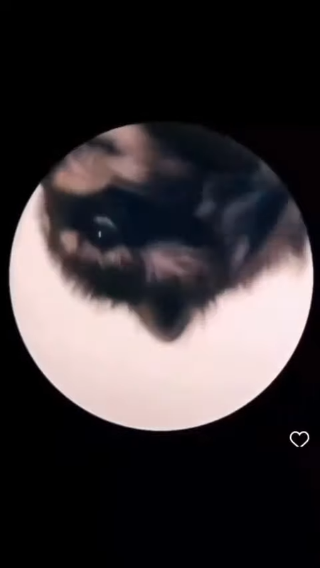 videoframe_3287