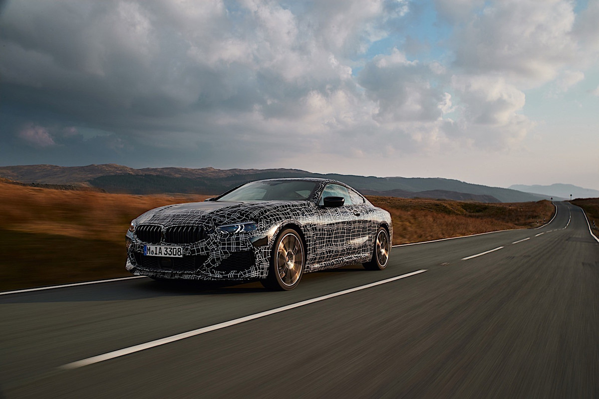 BMW 8 Series Coupe (20)