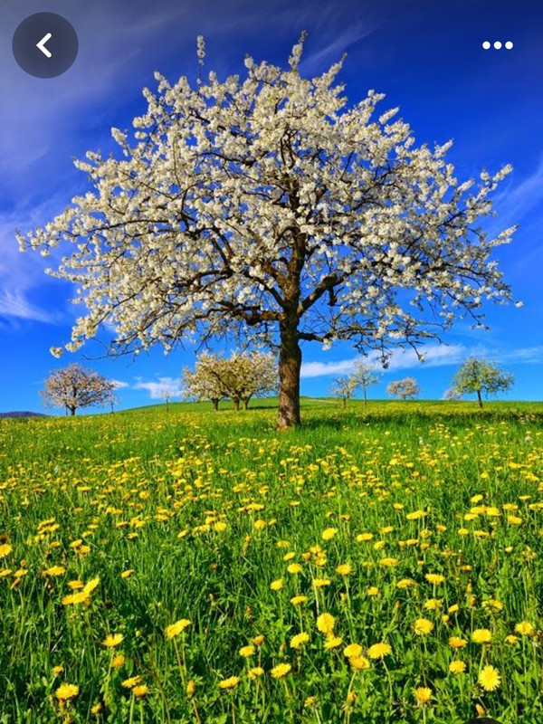 Screenshot_20240305_222718_Pinterest