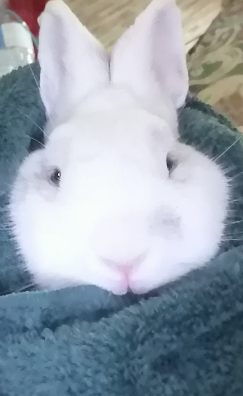 IMG_٢٠٢١٠٥٢٩_١٦٣٣٣٧