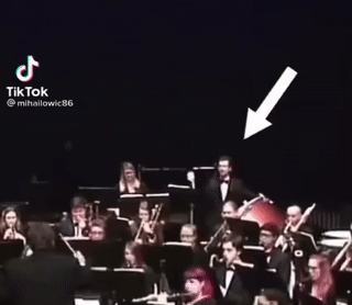 https://i.postimg.cc/K8ddz5Mg/ezgif-com-video-to-gif.gif