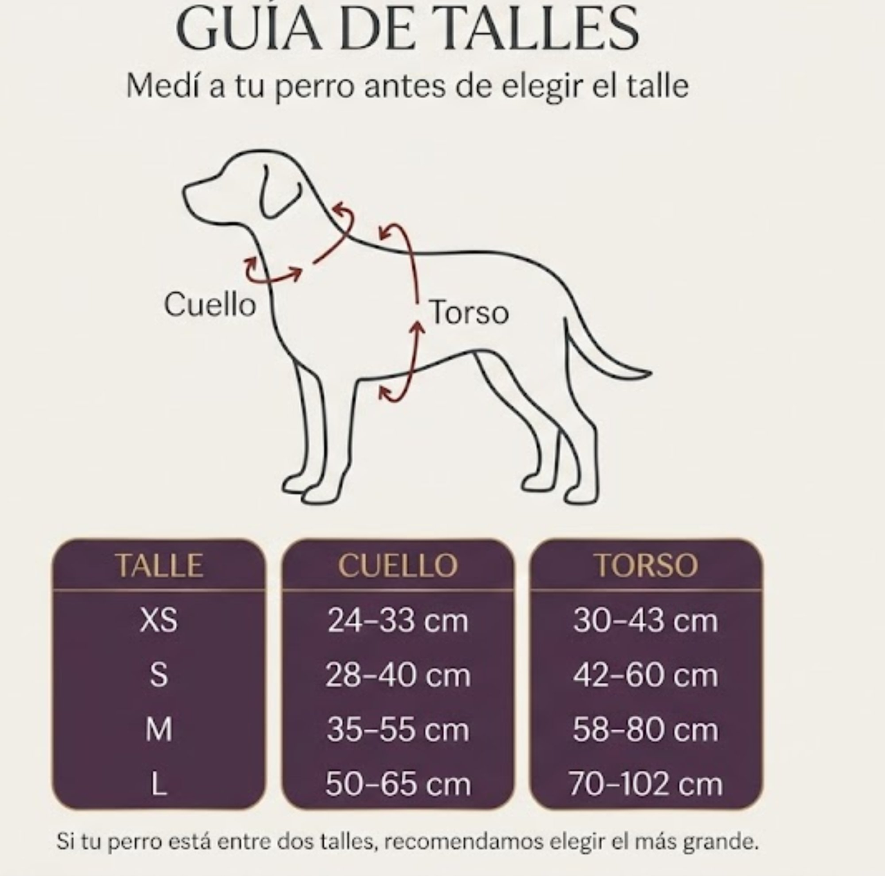 Gu&iacute;a de talles Kit de Paseo Glower Up