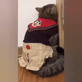 daily-gifdump-3375-16.gif